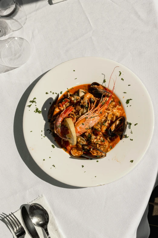 lobster, prawrd and mussels on a white plate