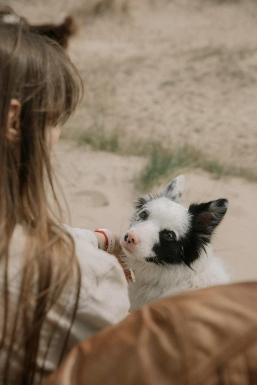 a little girl feeding a small black and white animal