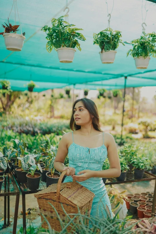 the woman is in the greenhouse holding a basket with flowers