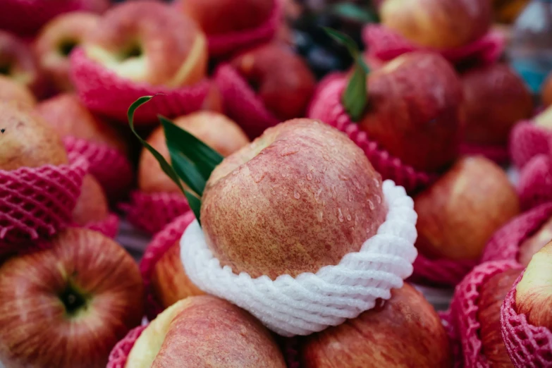 a group of red apples wrapped in a net