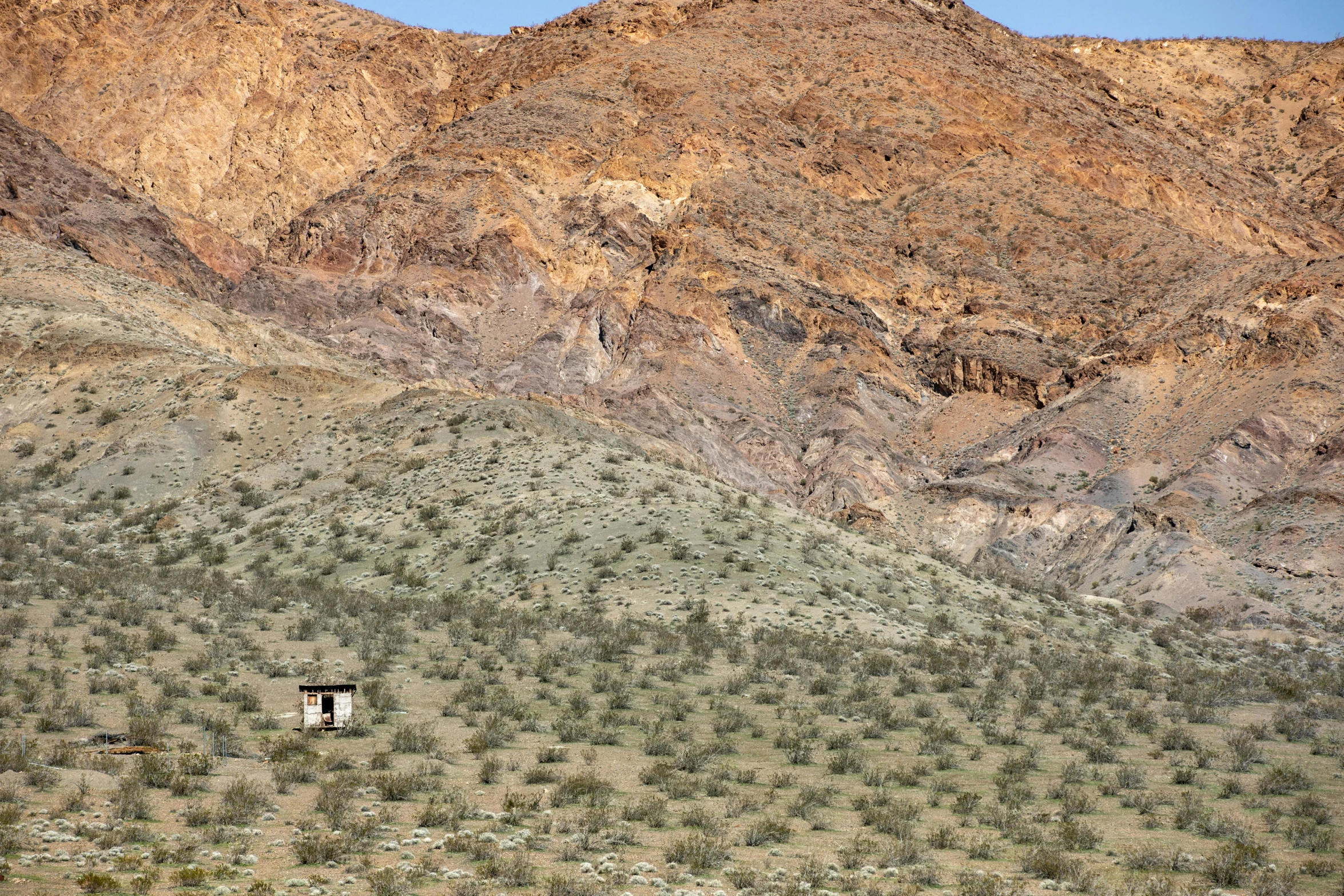 there is a hill covered in trees with a small building