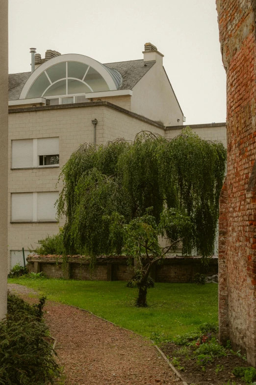 an old brick building and a small tree