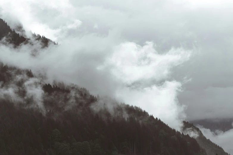 the mountain slopes are covered by a thick fog