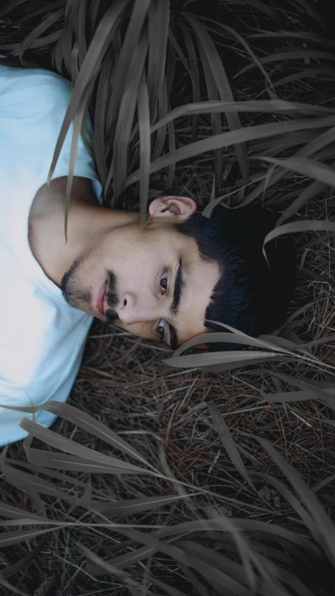 a man standing among a group of tall grass