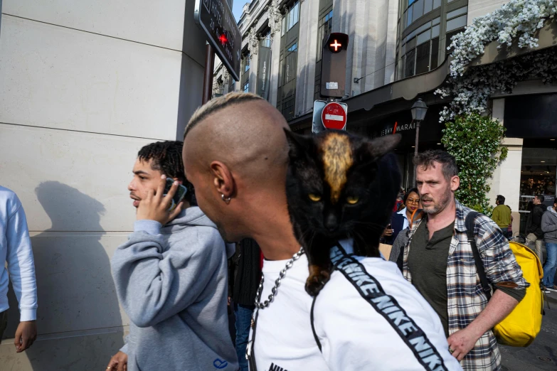 a cat head has been placed on top of a guy