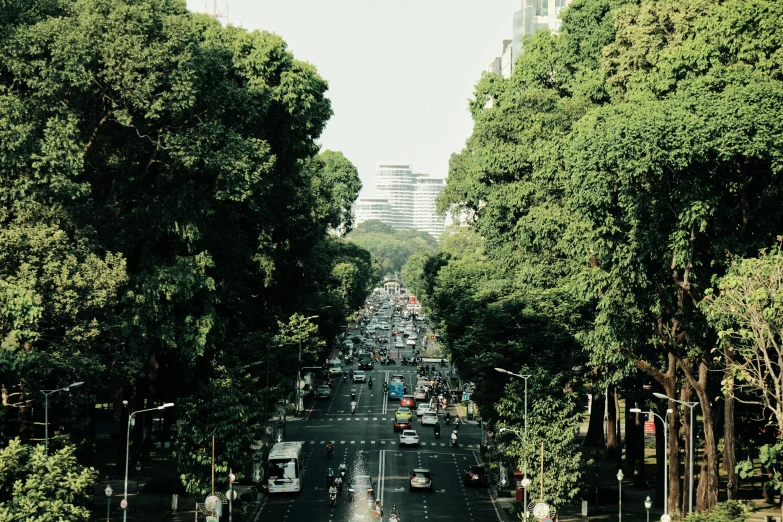 there is an overhead view of a city street with tall trees