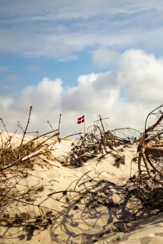 some nches in the sand with a flag pole