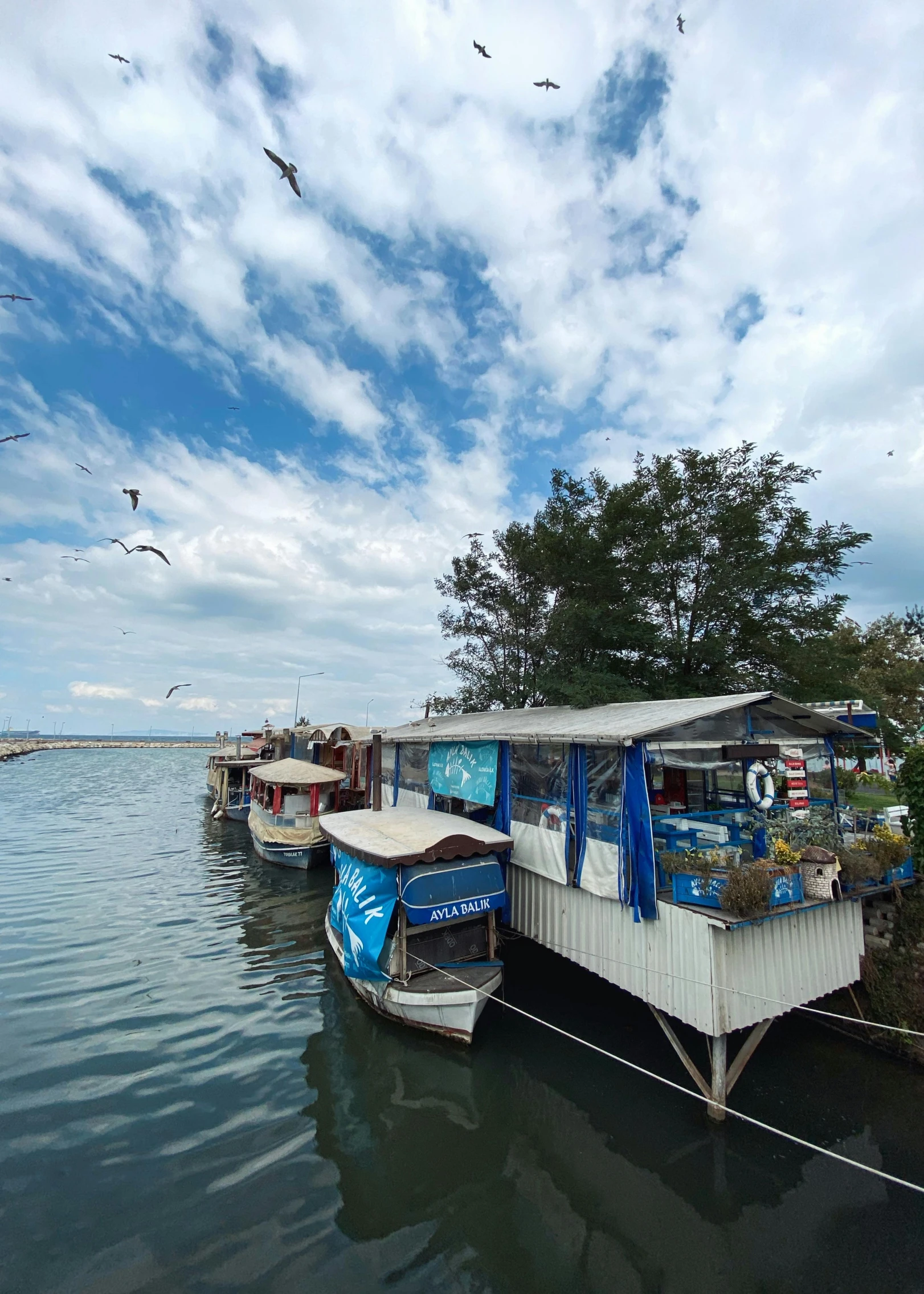 small boats in the water and birds flying over