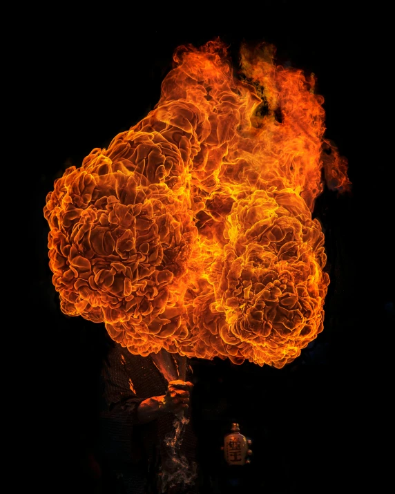 a large bush of fire is seen in the dark