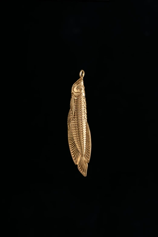 a gold pendant on a black background