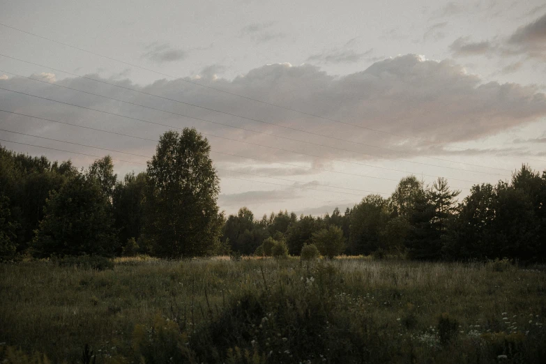 this is a large open field near many trees