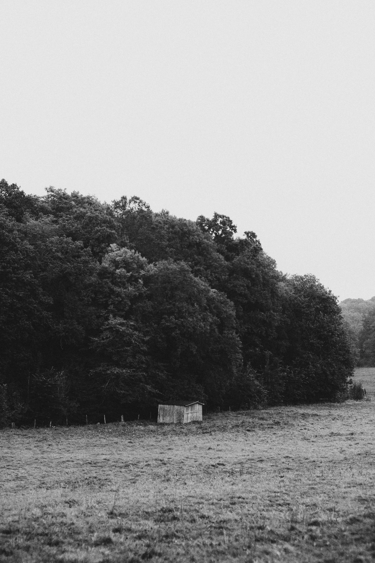 an empty field with trees in the background