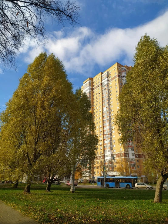 there are trees on the street in front of tall buildings