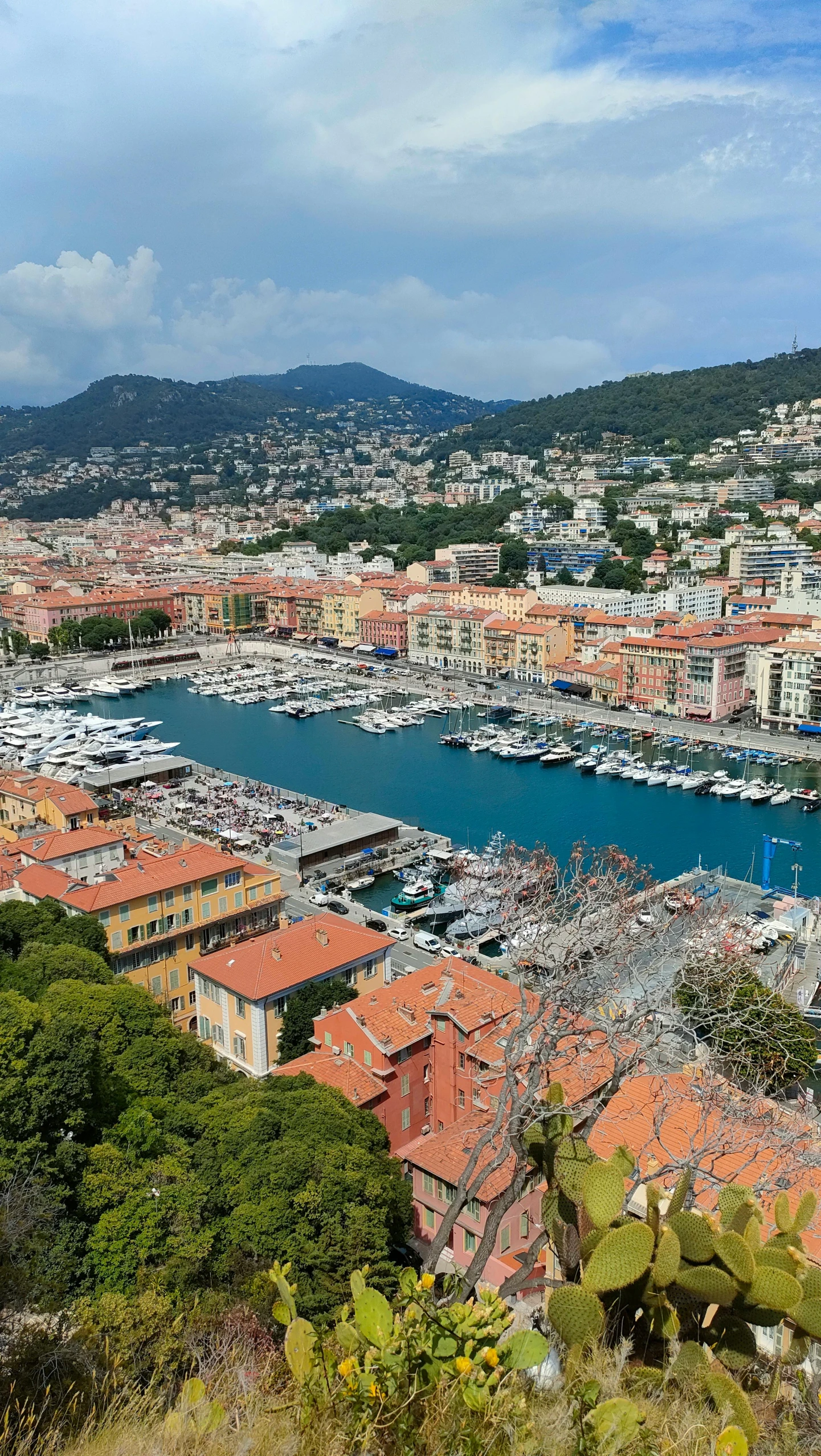 the marina with several boats are seen in this pograph