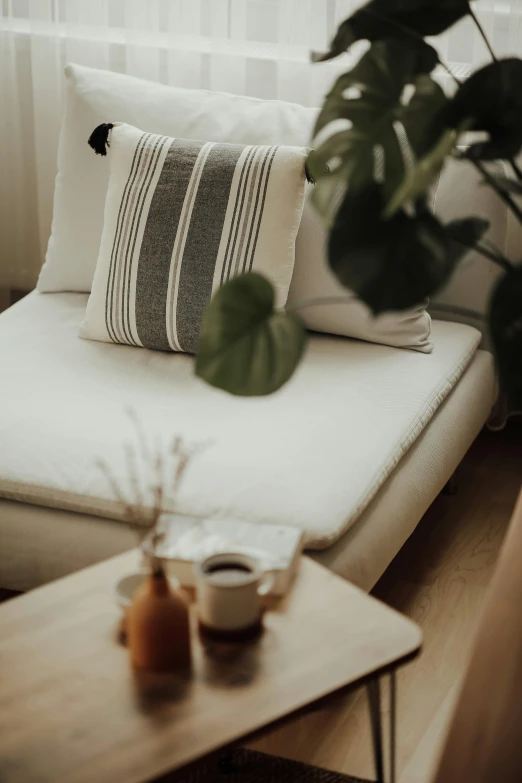 a living room with a plant and pillows