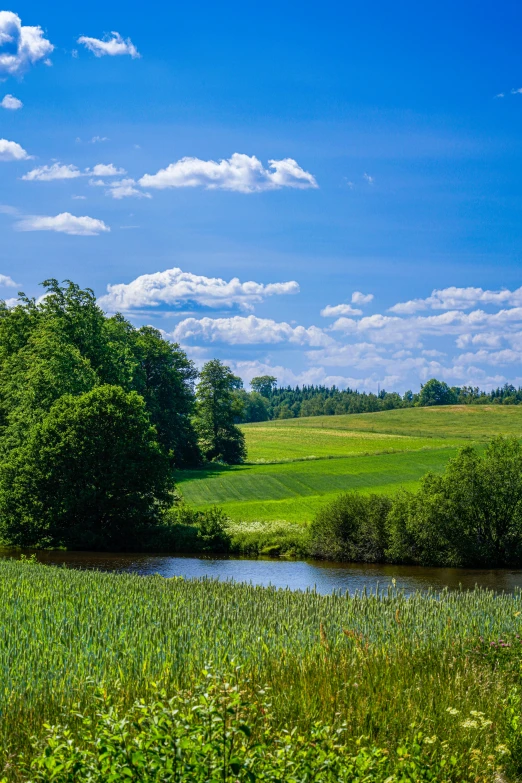 a po taken from a moving car of a river running through an open field