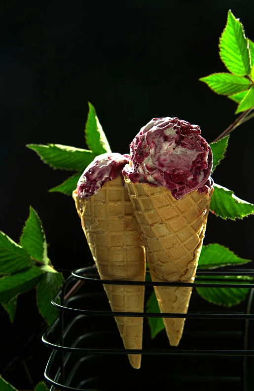 two ice cream cones are on a rack near a leafy plant