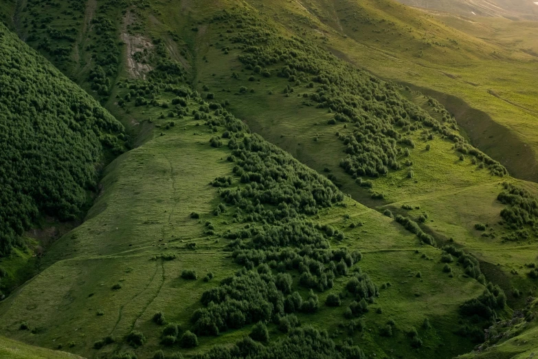 a green valley with trees on a hill