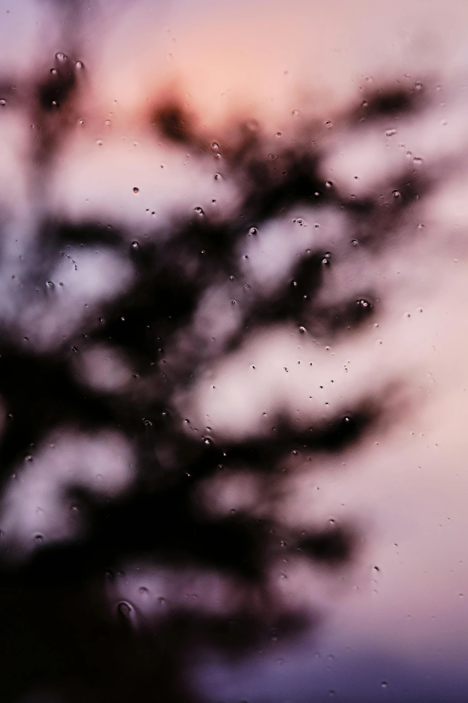 a tree that is standing next to a window with water drops on it