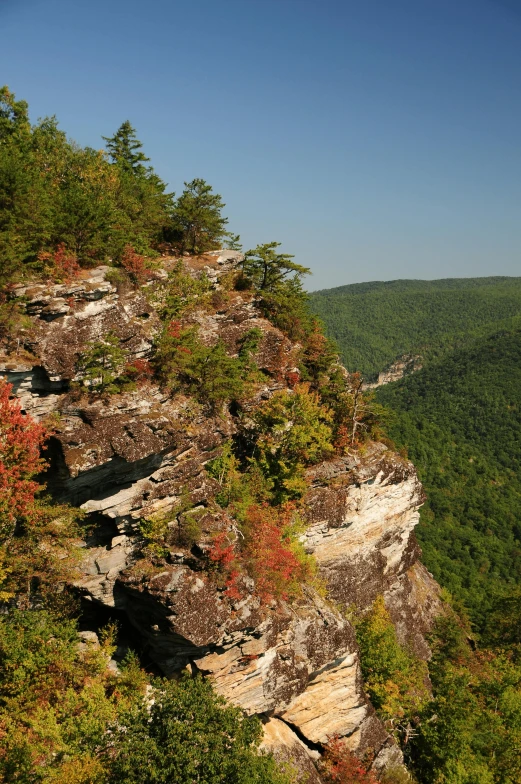 the view from a rock cliff overlook of trees and hills