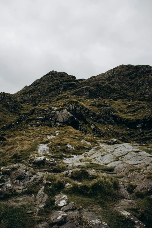 a hillside of grass and rocks, with one rock sticking out of the ground