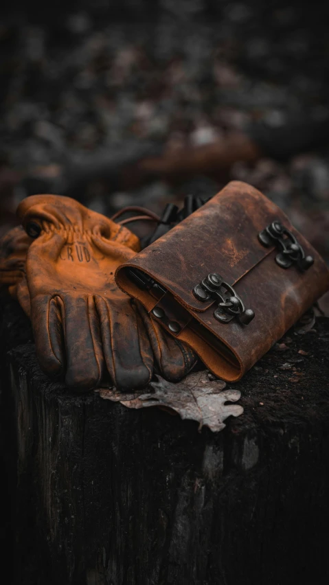 a pair of leather gloves sit on a tree trunk