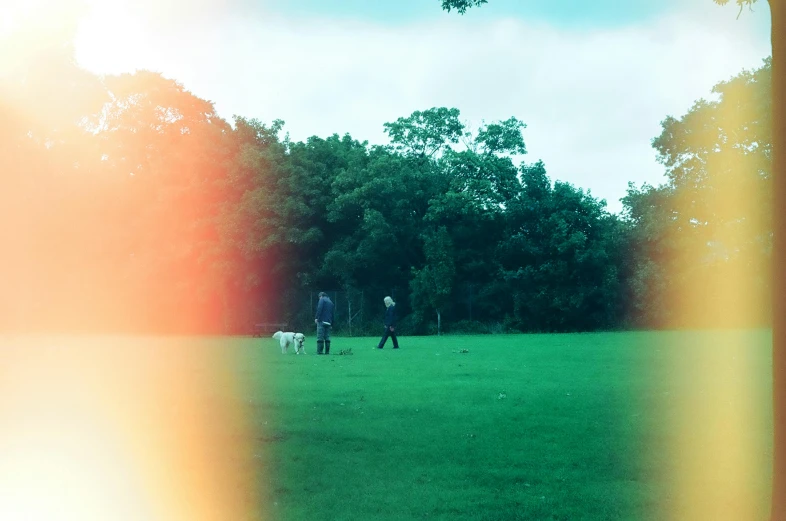 people walking through an open field next to trees