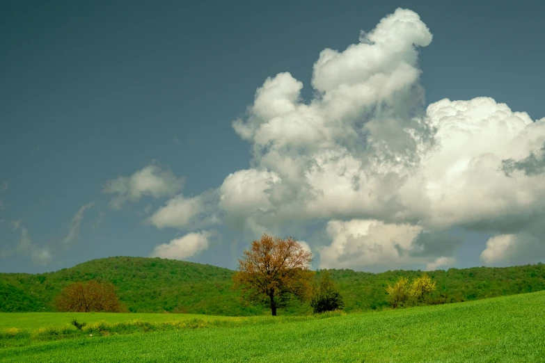 a lush green hillside with many trees and clouds