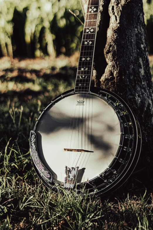 an old, broken and broken banjo sitting in the grass