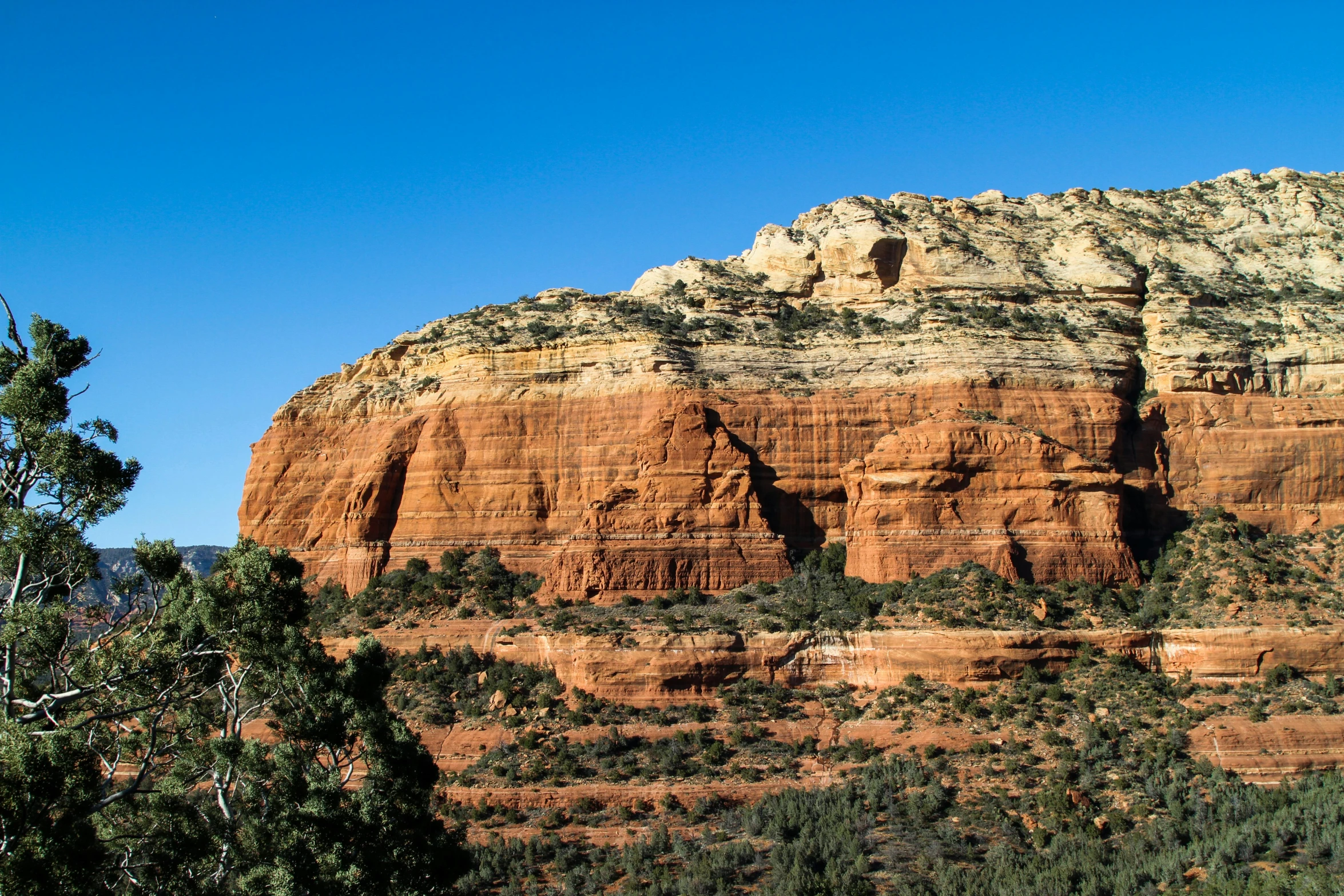 a large rocky outcrop with trees and bushes on the side