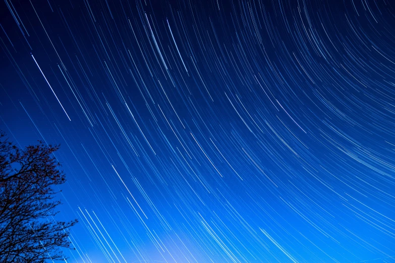 a tree in front of a blue sky filled with stars