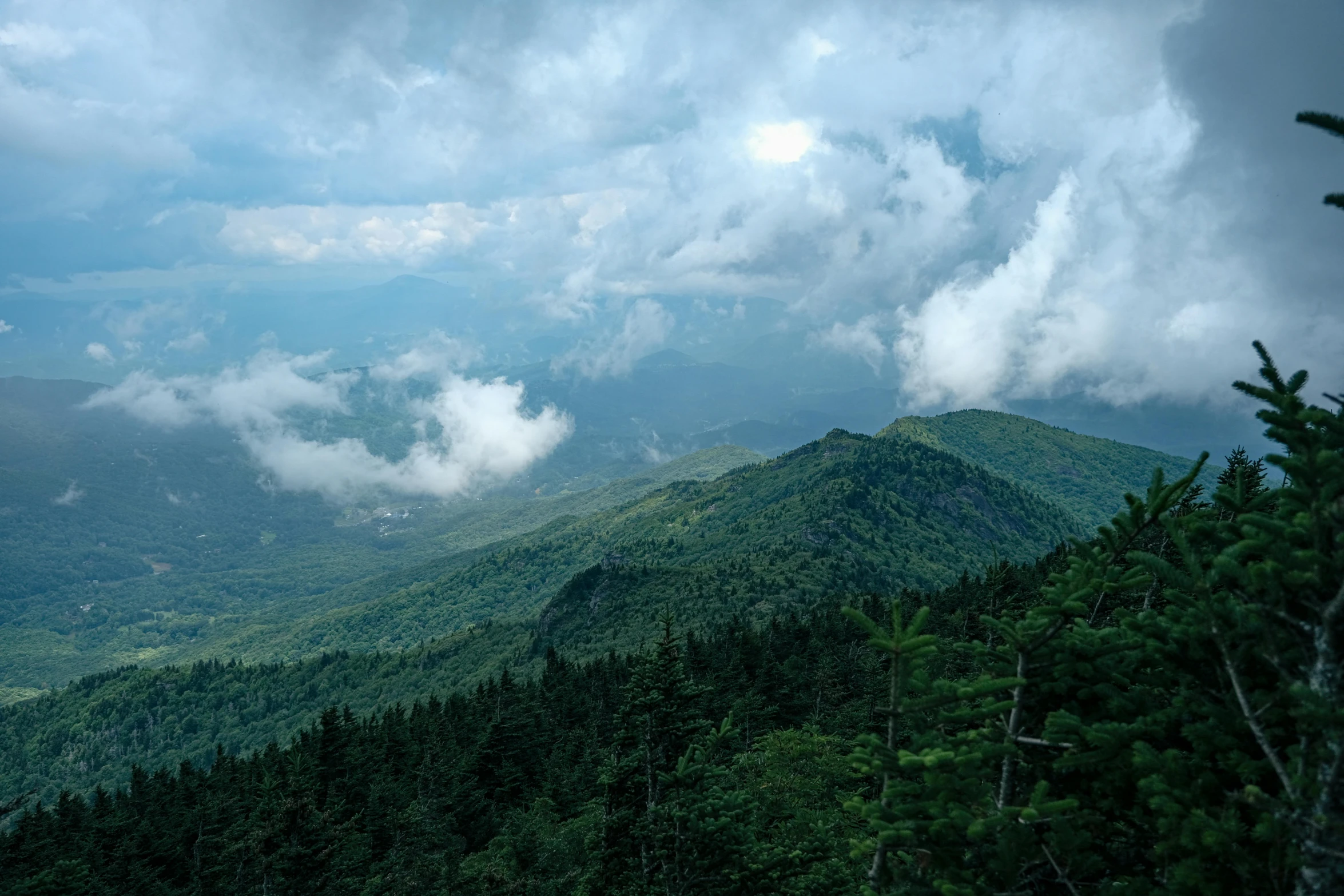 a forest is shown on top of the mountain