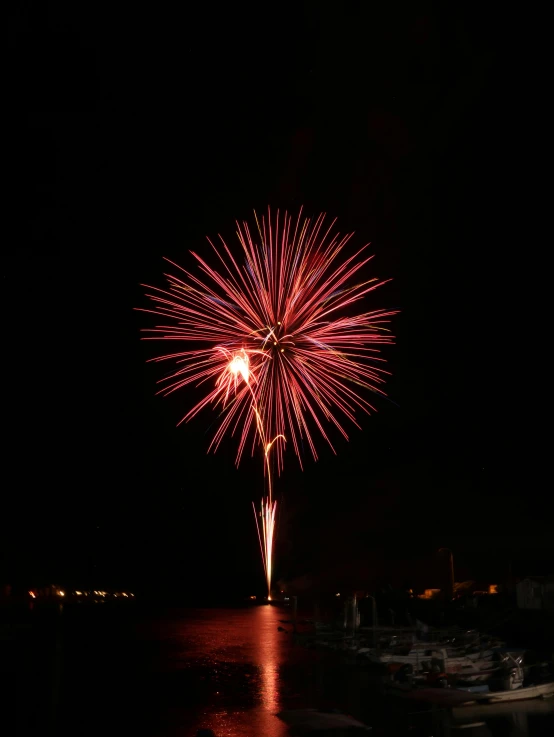 a large firework is lit up the night sky