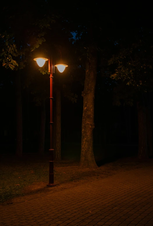 an old fashioned street light at night next to the tree