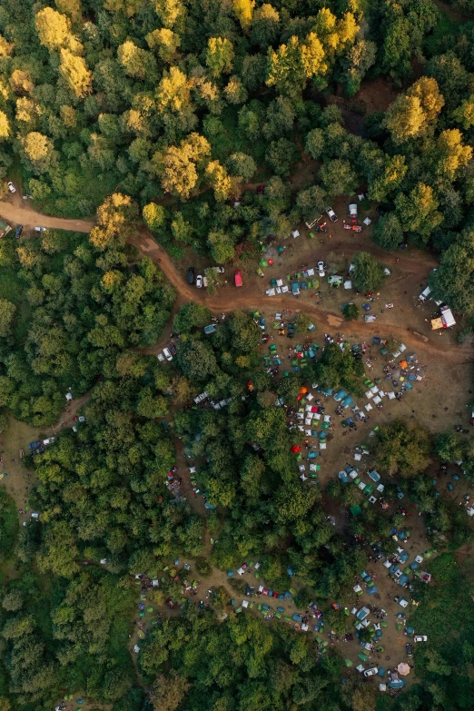 an aerial view of a forest with people in it