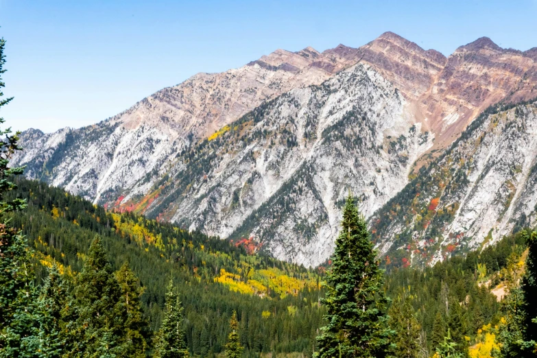 a mountain range with trees and bushes on both sides