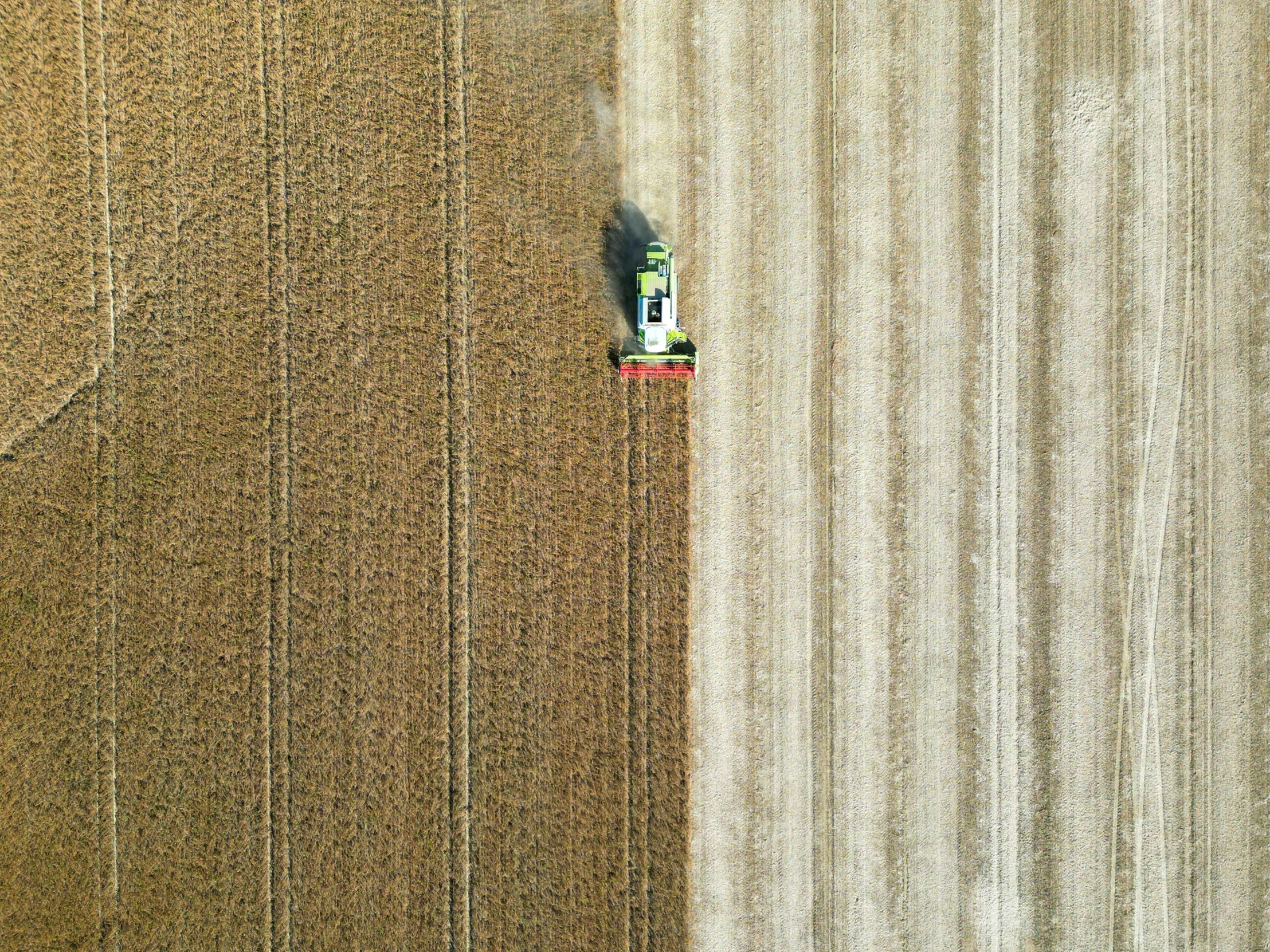 a truck driving through the center of a field