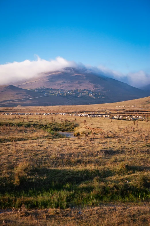 a mountain in the background surrounded by brown grass