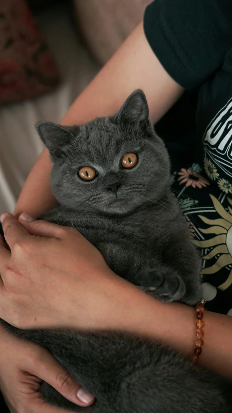 a woman holding a cat with the eyes wide open