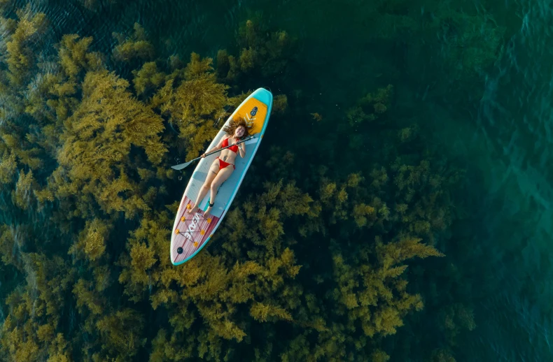 aerial view of a woman on a surfboard in the sea with green trees