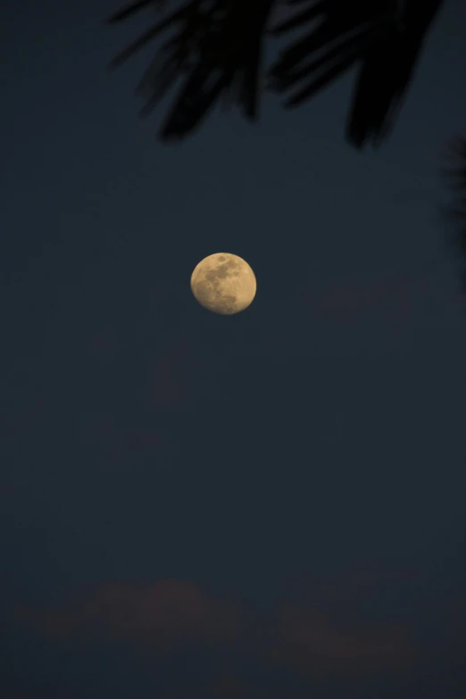 the full moon is seen with no clouds in sight