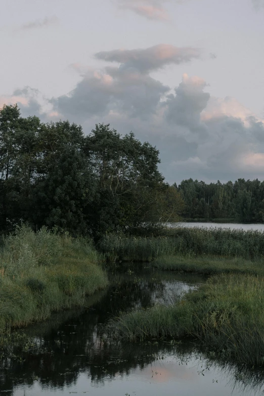 an empty river with the grass covered bank