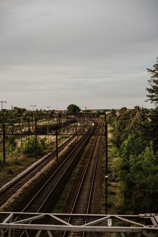 several railway tracks in the distance with trees at the far end