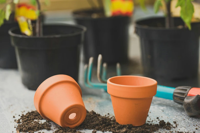 the pots are placed beside shovels and plants