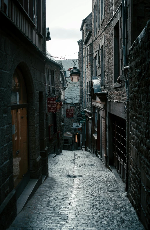 the bricked streets of an alley with many signs