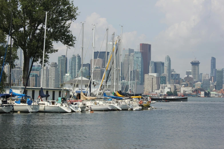 many sailboats are parked in a bay in front of a large city