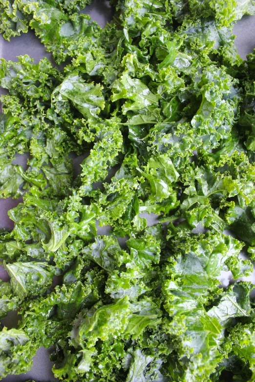 kale cut and ready to be eaten