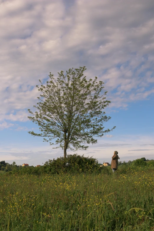 man sitting on ground under tree watching dog