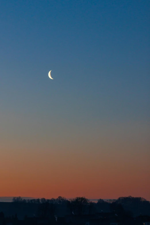 the moon and earth reflect in twilight sky over trees