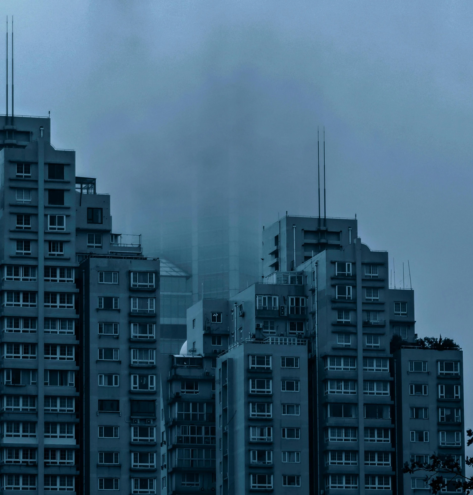 the tall buildings stand in the fog, under a grey sky